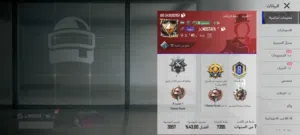 Pubg Accounts and Characters for Sale in Aleppo