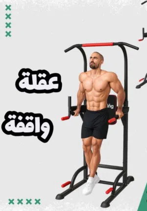 عقلهه واقفهه