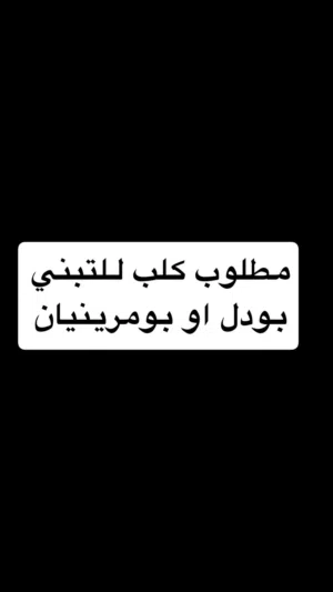 ابي جلبه تلعب و تكون (بنت) و نضيفه مع تطعيمات و الجواز و الدفتر و التطعيمات
