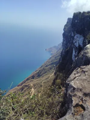 يتوفر بعض منتجات