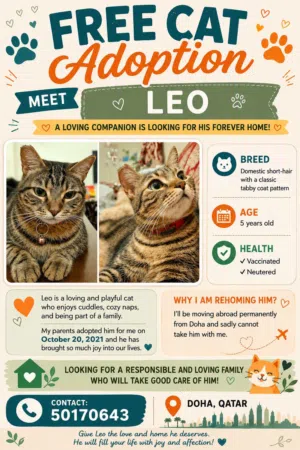 Free Adoption My Leo Baby