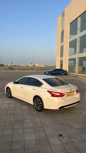 التيما بحادث بسيط جداً