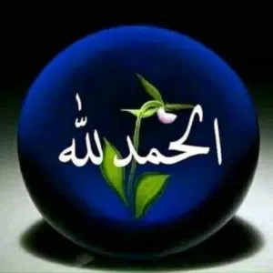 أبو يوسف