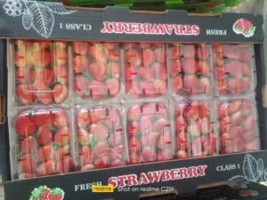 متوفر خضروات وفواكه بجودة ممتازة