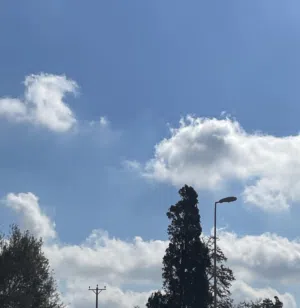سَـالِـمْـ 