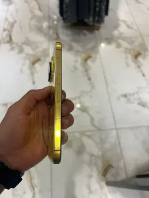 13 برومكس تلفون ربي يبارك