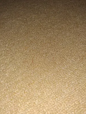كوبية روسي