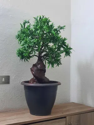 شجر صناعي وباقات