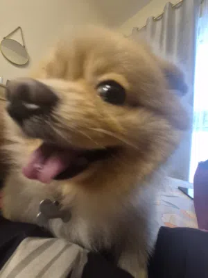 Taksha 
