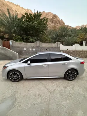 Used Toyota Corolla in Muscat
