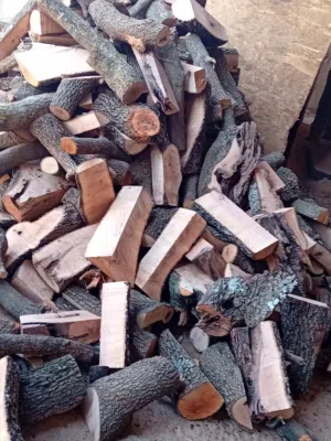 جميع انواع الحطب ناشف ناشف وقص الشجار وشيرا الحطاب
