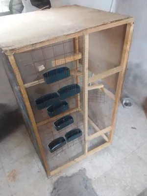 ‏إكسسوارات ‏.‏ طيور ودواجن‏0
