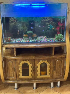 Fish tank with cabinet