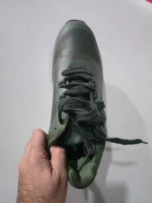 Beverly Hills Polo Club Men's Lace-Up Low Ankle Sneakers / size 44 EU