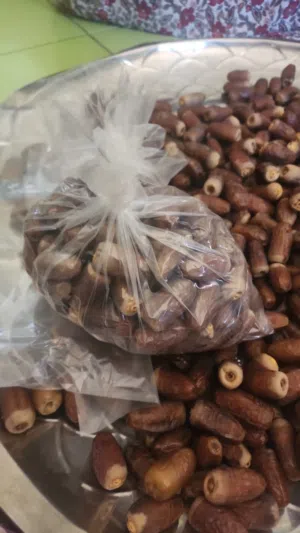 تمر نغال محقب انتاج مزارع سمائل