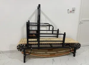 Dog treadmill for sale