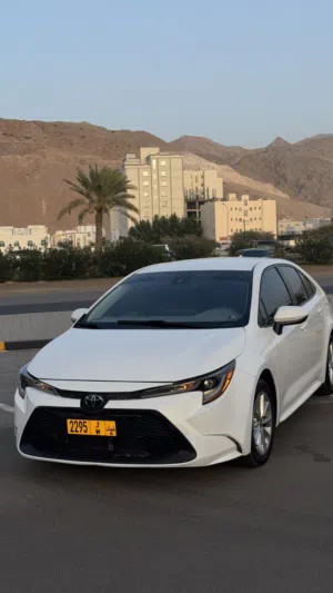 Used Toyota Corolla in Muscat