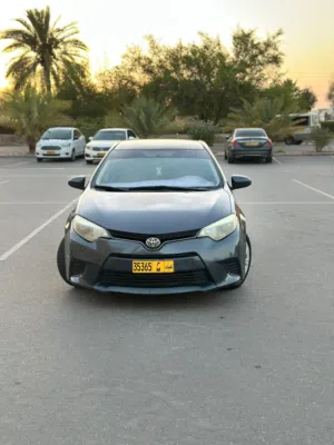 Used Toyota Corolla in Muscat