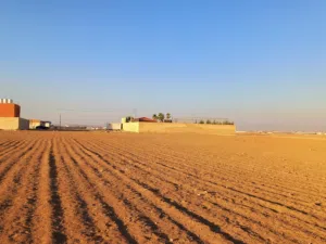 ارض للبيع في القسطل