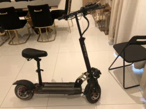 This is winner sky scooter e10