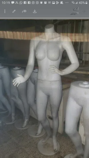 اصنام نسائي وولادي للبيع