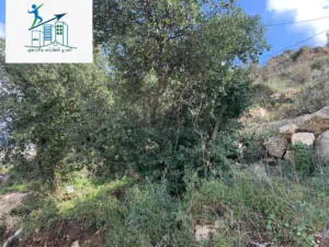 ستوديو داخل شقه للايجار شارع القدس مقابل فندق البيره السياحي