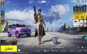 Pubg Accounts and Characters for Sale in Basra