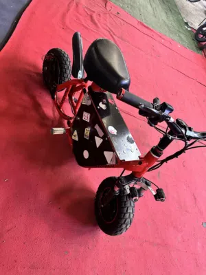 Fido electric scooter