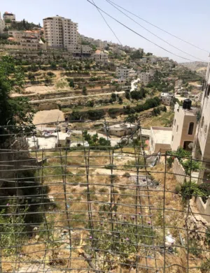 قطعة ارض 600 متر ( خلة المغاربة ) مطلة على عين ديربحة