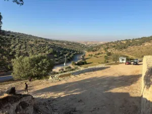 Farm . 3415 m2 . Agent3
