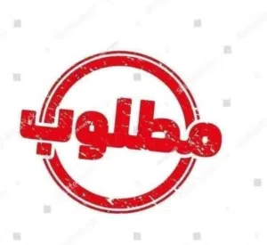 مطلوب جوز  شواكر