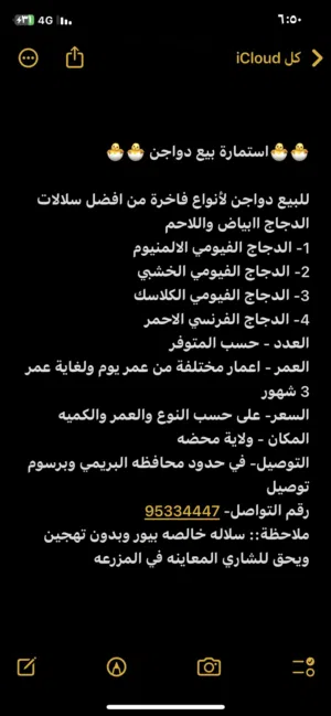 دجاج حي او مذبوح متوفر