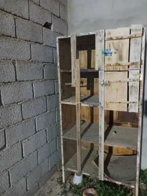 بورتي للبيع