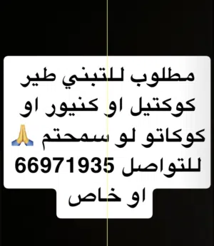 مطلوب طير للتبني كوكتيل او كنيور و لوري او كوكاتو او متو لو سمحتون الله يكتب في ميزان حسناتكم!!!!!!