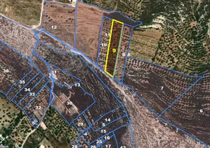 Mixed Use . 5954 m2 . Agent0