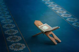 محفظ قرأن مجاز بسند عالي من كبار مشايخ الأزهر وسلطنه عمان..معلم ف مساجد الأنصب ( مسقط) أكثر من سنوات
