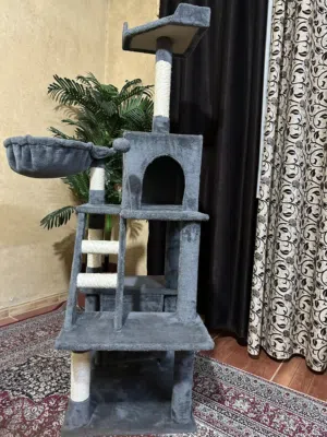 بيت بسه للبيع