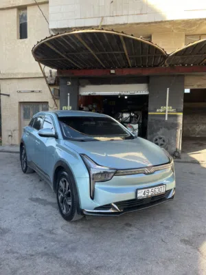Used Neta U in Irbid