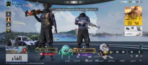 Pubg Accounts and Characters for Sale in Nouakchott