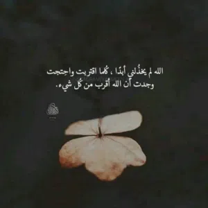 صلي على النبي 