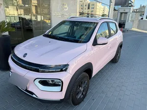 2023 DONG FENG NANOBOX EX1
