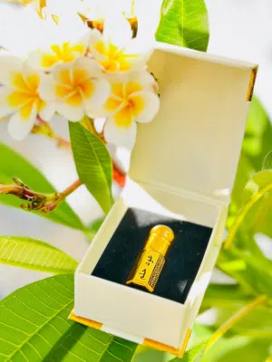 عود حلم..اختيارك الأنسب .