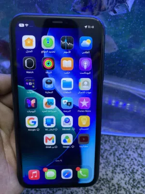 Apple iPhone 11 64 GB in Zarqa