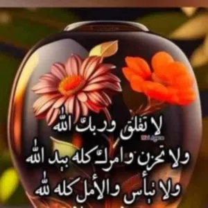 حسن ابو علي 