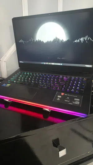 3060 rtx msi ge67 raider 2t