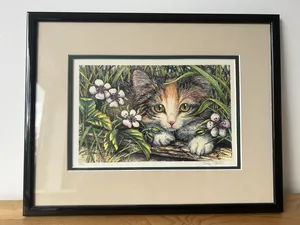 Paintings - Frames . Used1