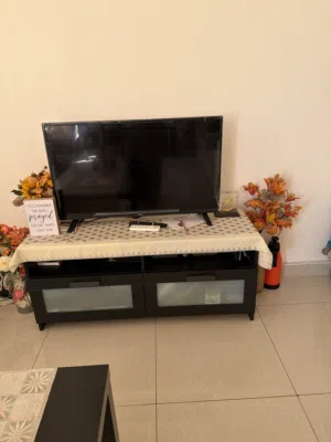 TV plus TV stand