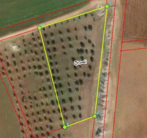 Residential Land for Sale in Irbid Al Sareeh