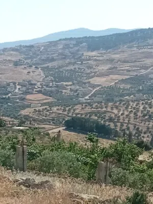 Mixed Use Land for Sale in Jerash Unaybah