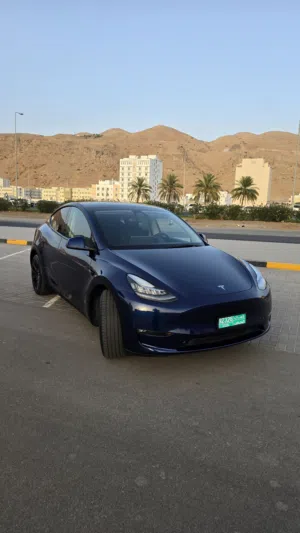 Used Tesla Model Y in Muscat